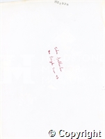 15\92d487-6987-4659-b6a3-cb7be8b00280.jpg